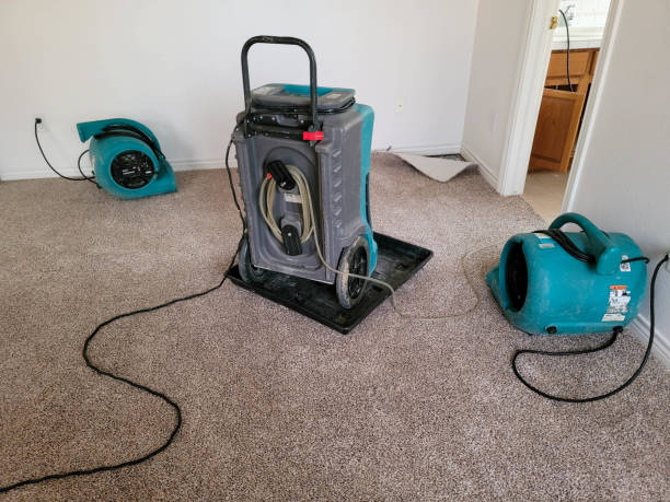 Best Local water damage restoration  in Bruceville Eddy, TX