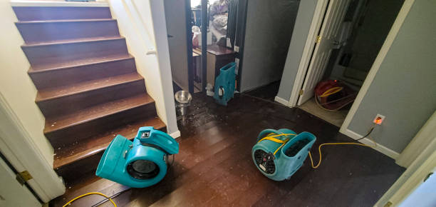 Best Commercial water damage restoration  in Bruceville Eddy, TX