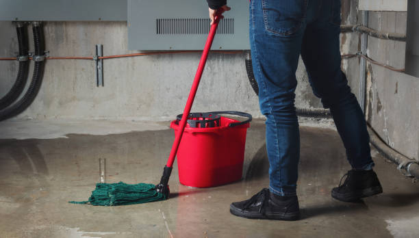 Best 24/7 water damage repair  in Bruceville Eddy, TX