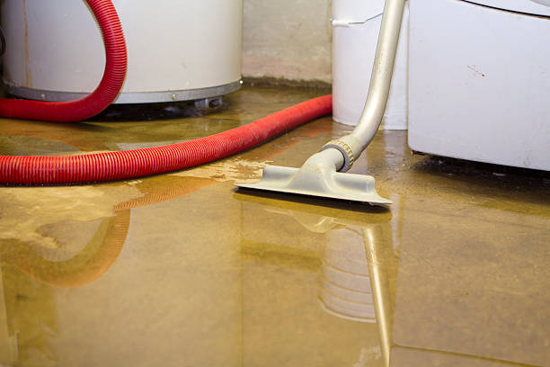 Reliable Bruceville Eddy, TX Water damage restoration Solutions