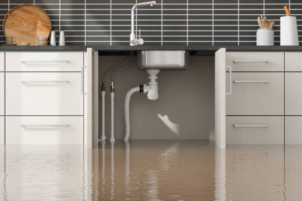 Carpet water damage restoration in Bruceville Eddy, TX