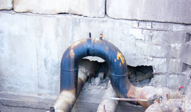 Best Mold removal after water damage  in Bruceville Eddy, TX