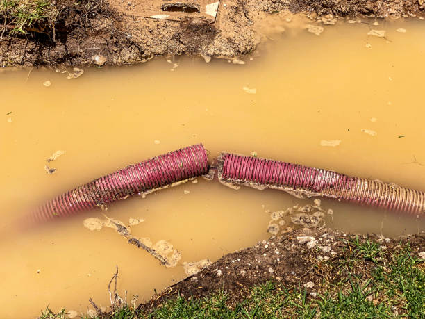 Best 24-hour water damage restoration  in Bruceville Eddy, TX