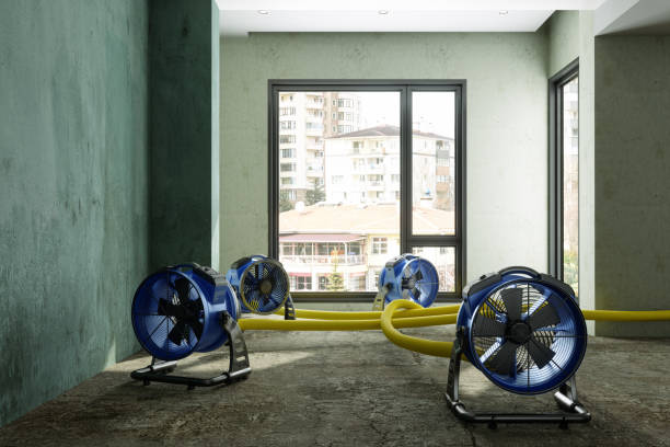 Best Carpet water damage restoration  in Bruceville Eddy, TX
